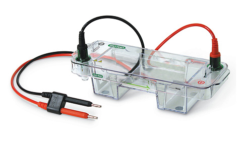 Agarose Electrophoresis-Biorad