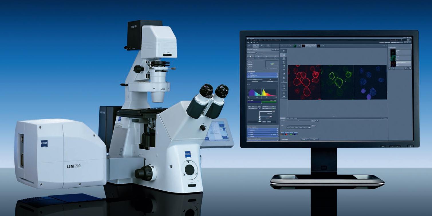 RCF LSM 700 Confocal Microscopy